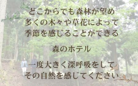 M2　東山温泉メイプルプラザ【けやき会席プラン1泊2食お土産付】2名様分（全日）