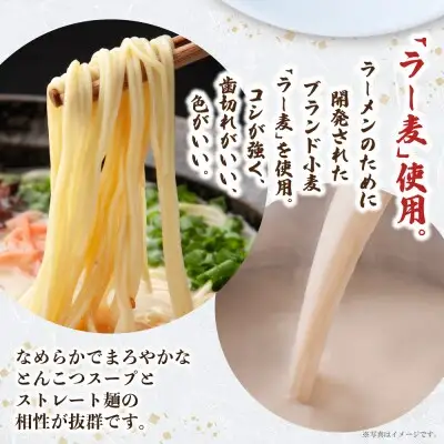 Z08-10 寄附額改定↓↓ 一風堂 とんこつラーメン 白丸 8食 ラーメン