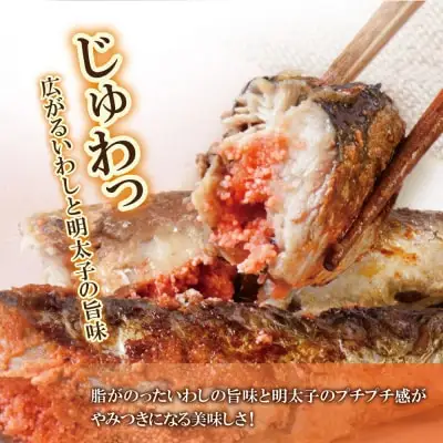 Y08-11 いわし明太 6尾 