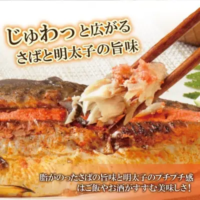 Y08-16 さば明太 9尾 