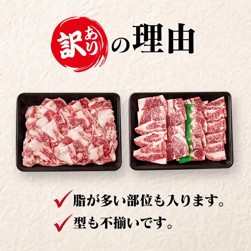 宮崎牛 訳あり切り落とし500g ブランド牛 A４～A5等級 内閣総理大臣賞4連覇＜58-10a＞Y