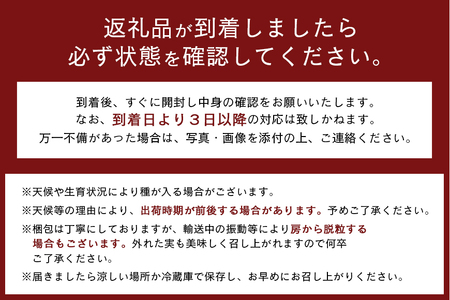 【ご家庭用 数量限定】シャインマスカット家庭用2kg 種なし ぶどう ブドウ 国産 果物 葡萄 種無し フルーツ 不揃い 家庭用 秋 旬 品種 茨城県産 産直 農家 直送 冷蔵 茨城県 石岡市 A02-020