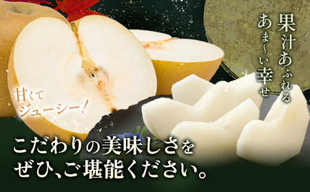 【2026年先行予約】梨 秀品 秋月梨 約1.8kg（4～7玉） 日本フルーツ《9月上旬-9月末頃出荷》熊本県 長洲町 なし 梨 果物 フルーツ デザート ギフト ご贈答