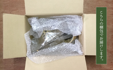 【 ハンドメイド 】 竹細工 一輪挿し セット 若鮎クラフト 真竹 黒竹 竹籠 工芸品 工芸 日用品 雑貨 インテリア バンブー 職人 手作り 花器 上品 高級感 おしゃれ 国産 土佐 高知県 高知 四万十市 四万十 しまんと お取り寄せ 26-81