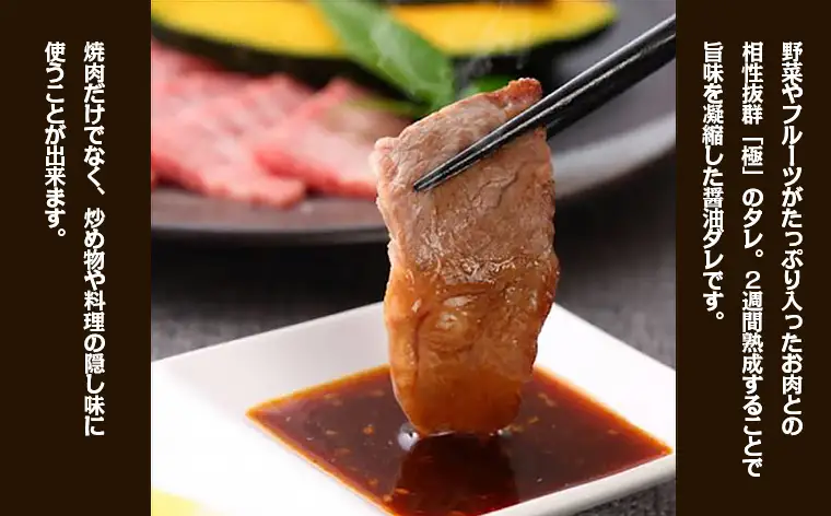 やたら売れてる焼肉屋の山形牛入りハンバーグ1.2kg(120g×10)と万能熟成生醤油ダレ(2本)セット FY25-266