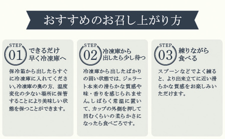 COZAB GELATO 訳あり 大容量 ひとりじめサイズ 6個セット アイスクリーム アイス ジェラート 山形県 山形市 FY25-277