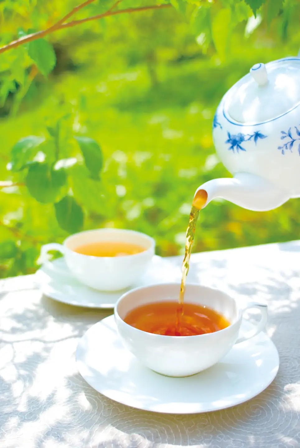 紅茶 ルピシア 人気のお茶×3種 デザインラベル50g缶 BOX入り【紅茶】