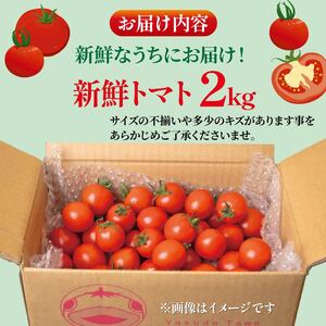 【先行受付】 トマト 2kg 安田町 トマト TR-11