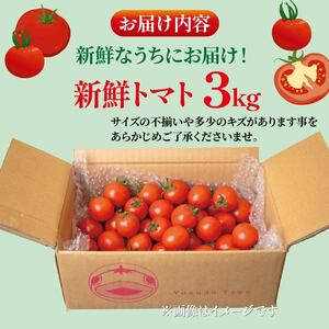 【先行受付】 新鮮トマト 3kg 【安田町産】 ｜ トマト TR-04