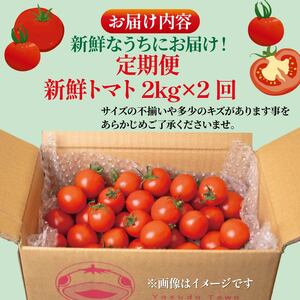先行受付 安田町産 新鮮トマト 2kg 定期便 2回 TR-23