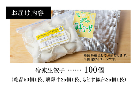 ぎふ夢 餃子 ミックス100個 人気 餃子 3種を詰め合わせ！ [mt1819] 