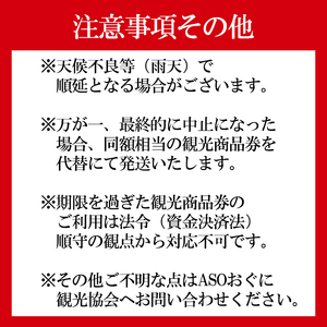 【ASOおぐに観光協会】小国の花火2026 観覧席（最大6名利用可）観光商品券3千円セット ゆったり スペース 花火が近い 撮影ブース チケット付き お土産 飲食 宿泊 利用可 夏の思い出 旅の思い出 残したい日本の風景 地域のお祭り 地域振興 旅行支援
