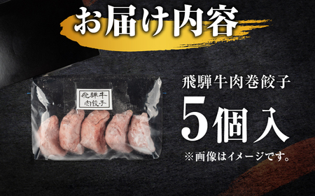 贅沢！飛騨牛 肉巻 餃子 5個 餃子 [mt1826]