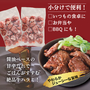 【訳あり】 タレ漬け 牛ハラミ 600g 2P 肉 牛 牛肉 ハラミ 味付け タレ ハラミ肉 BBQ バーベキュー 焼き肉 焼肉 焼肉セット アウトドア キャンプ ギフト 真空 パック 小分け 300g 個包装 簡単 便利 冷凍 人気 京都 南丹市 神戸 ミートフーズ