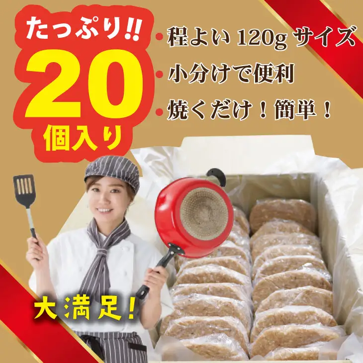 肉屋特製 佐賀牛入ハンバーグ 20個 ハンバーグ  B150-028
