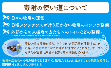 【返礼品なし】引退馬余生支援寄附 500,000円 一般社団法人オープンセサミアライブ 熊本県 南阿蘇村 馬 ウマ 支援 競走馬 引退馬 生活支援 動物愛護 保護 返礼品なし 寄附 牧場 オープンセサミ アニマルサンクチュアリ