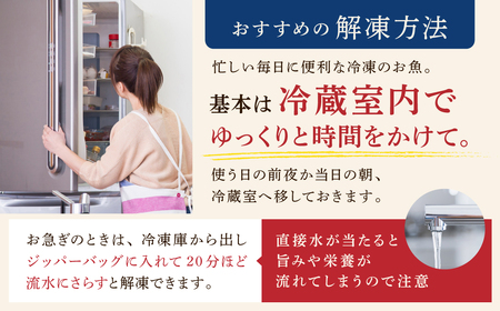 【訳あり】骨取り無塩さば　切り身5kg（500g×10袋） mi0012-0164