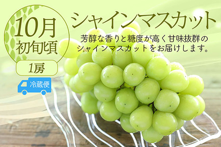 【R8.8月中旬より発送開始】食の都庄内 厳選フルーツ便C（入金期限：2026.7.31）アールスメロン 和梨 シャインマスカット 全3回配送 常温便 冷蔵便