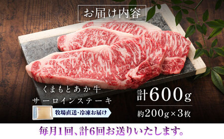 全6回定期便 GI認証《くまもとあか牛》サーロインステーキ 約200g×3枚 BHAS067 サーロインステーキ