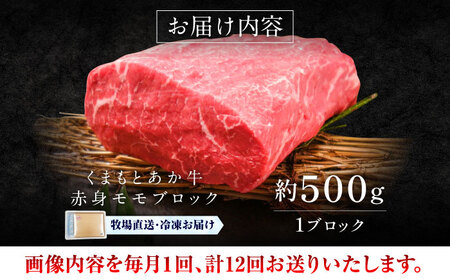 全12回定期便 GI認証 くまもとあか牛赤身 モモブロック 約500g BHAS101 ブロック