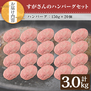 すがさん の ハンバーグ セット (計20個・1個150g) 冷凍 黒毛和牛 牛肉【TRINITY】A786
