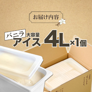 バニラ アイスクリーム 大容量 アイス 4000ml 4L 業務用 