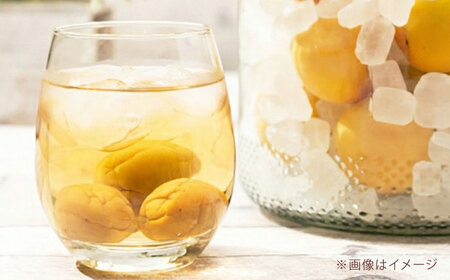 【お中元対象】果実系リキュール 呑み比べ 4本セット お酒 BJAV001