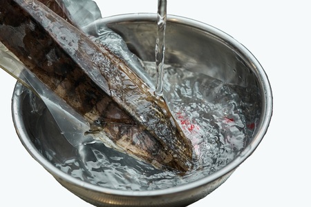 a10-1214　藁焼き カツオ タタキ 約1kg