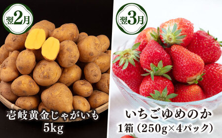 【全6回定期便】【先行予約】壱岐産農産物定期便【2026年10月以降順次発送】《壱岐市》【壱岐市農業協同組合】米 コシヒカリ じゃがいも いちご 野菜 セット [JBO159]