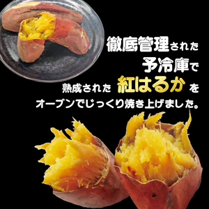 高知名物 いも天 いもスティック 冷凍焼き芋 セット いも 芋 おやつ お菓子 食物繊維 サツマイモ 天ぷら 紅はるか おいも お芋 冷凍 高知県 南国市