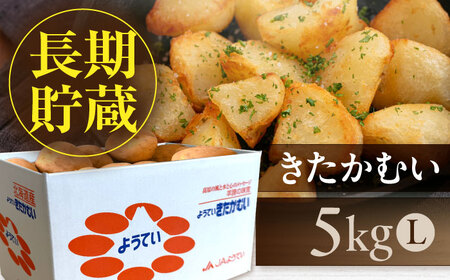 【2027年1月上旬以降順次発送】きたかむい 5kg じゃがいも [AJAK029]