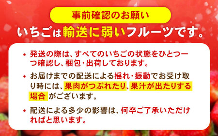 ※【2027年3月上旬頃より順次発送／先行予約】【訳あり】【とろける甘さ、弾ける果汁！】いちご「ゆめのか」 S-Lサイズ 1.8kg / 訳あり 訳あり商品 訳あり果物 果物訳あり いちご イチゴ 苺 イチゴジャム / 諫早市 / むらたサービス [AHFA003]