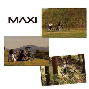 サカイサイクル キッズバイク MAXI18BMX　18インチ　フラットブラック