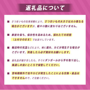 さつまいも TVで紹介！ 【 アフター保証 】甘くておいしい！ 紅はるか 1kg