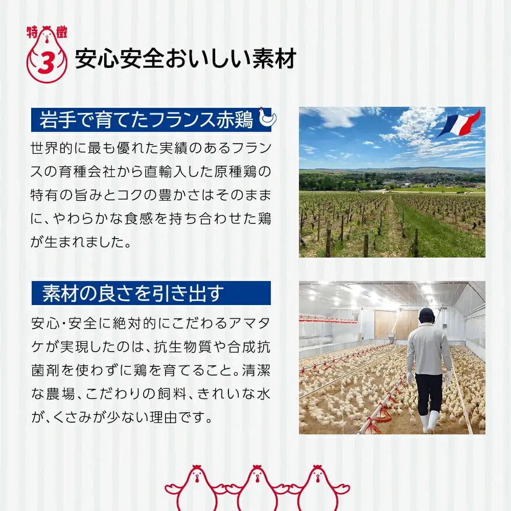 アマタケの鶏だんごセット　【04209-0278】