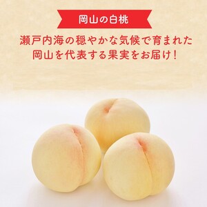 2026年 早期受付 岡山県産 白桃 恵白 (約2.2kg) 5～7玉 桃 もも 果物 フルーツ