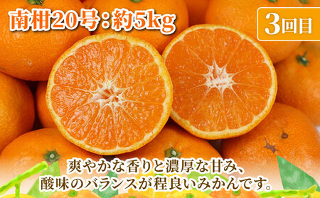 旬の 温州みかん 5kg × 3回 定期便 矢野青果 準贈答用 極早生 宮川早生 南柑20号 みかん mikan 愛媛みかん 愛媛ミカン 愛媛蜜柑 果物 くだもの フルーツ 濃厚 甘い 甘味 さっぱり 酸味 蜜柑 産地直送 数量限定 国産 愛媛 宇和島 B036-171027