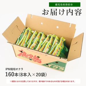 【2026年5月上旬～発送】栽培期間中、農薬の使用を抑えた指宿産オクラ160本(8本入×20袋)(エコオクラグループ/IB166-001) オクラ おくら 減農薬 野菜 夏野菜 旬 特産 夏 新鮮 鹿児島県