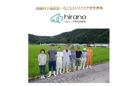 四万十麦豚 パラパラミンチ 1kg（500g×2袋）麦豚 ミンチ 冷凍 Ahc-21