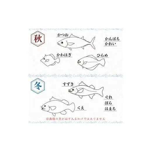 【 海鮮 】 海鮮定期便6ヶ月