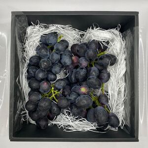 訳ありぶどう ナガノパープル 約1kg 【 ぶどう 】