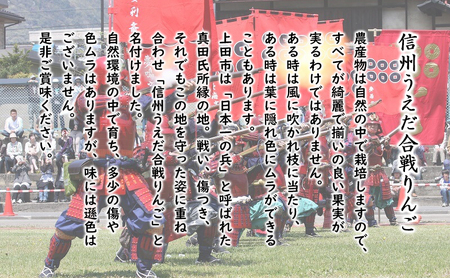 訳あり りんご JA信州うえだ 合戦りんご 秋映 約5kg（10玉～20玉） リンゴ 林檎 果物 くだもの フルーツ 信州 長野 離乳食 訳アリ わけあり 傷