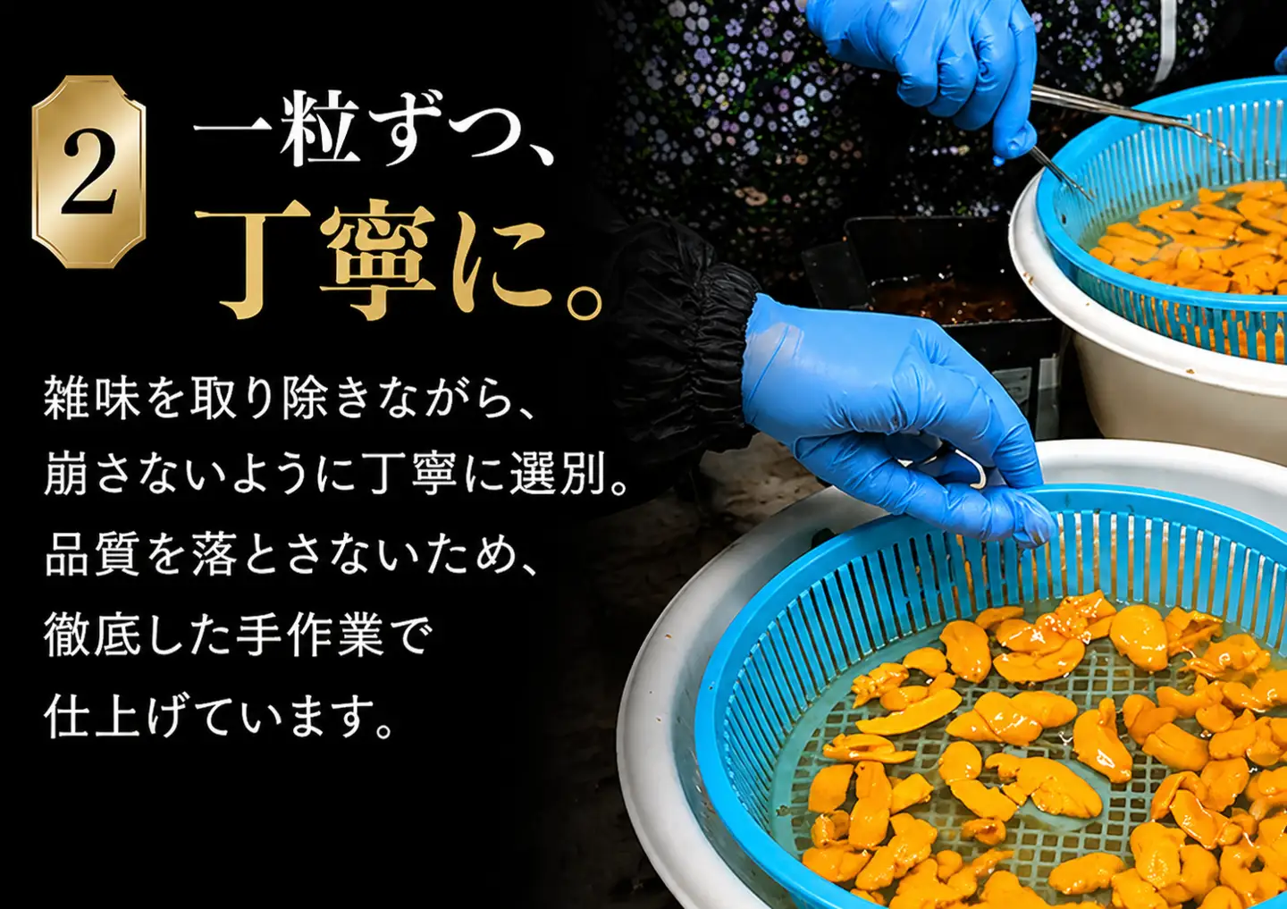 津軽海峡産　無添加　極上　瓶詰め生ウニ　180g×1本