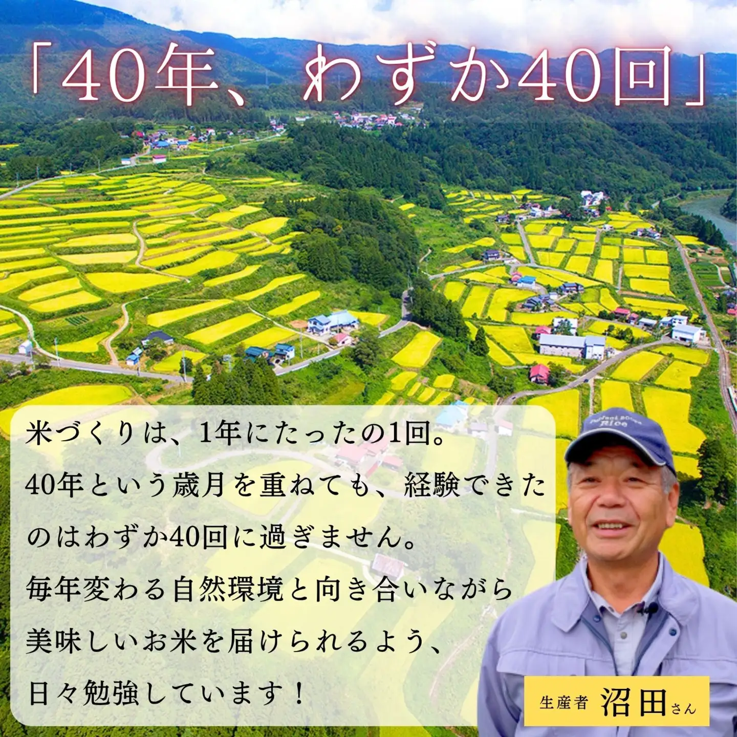 《令和8年産 先行予約》コシヒカリ 10kg 沼田さんちの満点 (Bx-004)　コシヒカリ