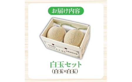 高級土佐アールスメロン2玉入り メロン めろん 白玉セット 白玉×白玉 3kg以上 舐瓜 果物 くだもの フルーツ デザート スイーツ おやつ 高級 常温 配送【森岡　敬】 [BQBA003]