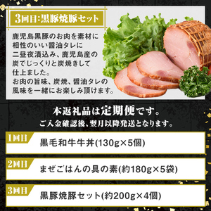 【B90001】＜定期便・全3回＞肝付町セレクト定期便《簡単調理 火を使わないで美味しいを楽しむ定期便》 鹿児島県産 国産 牛肉 豚肉 牛丼 まぜごはんの素 焼豚 叉焼 時短 定期便 セレクト 冷凍 冷凍食品 【株式会社きもつき未来商社そらまち】