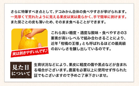 不知火 デコみかん ( デコポン と同品種 ) ご家庭用 《3-7日以内に出荷予定(土日祝除く)》訳あり 熊本県産 ( 荒尾市産含む ) 約2.5kg(12-24玉前後) 柑橘みかん フルーツ 不知火 訳アリ でこみかん 果物 5kg