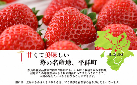平群 の 古都華 2L ～ 3L サイズ 2ケース （ 4パック ） | フルーツ いちご 古都華 先行予約 奈良県 平群町