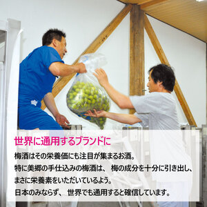 梅酒 飲み比べ 2本セット 美郷露茜 美郷月世界  500ml 各1本