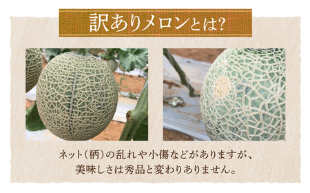 国産うなぎ & 温室メロン 農家直送 セット 鰻
